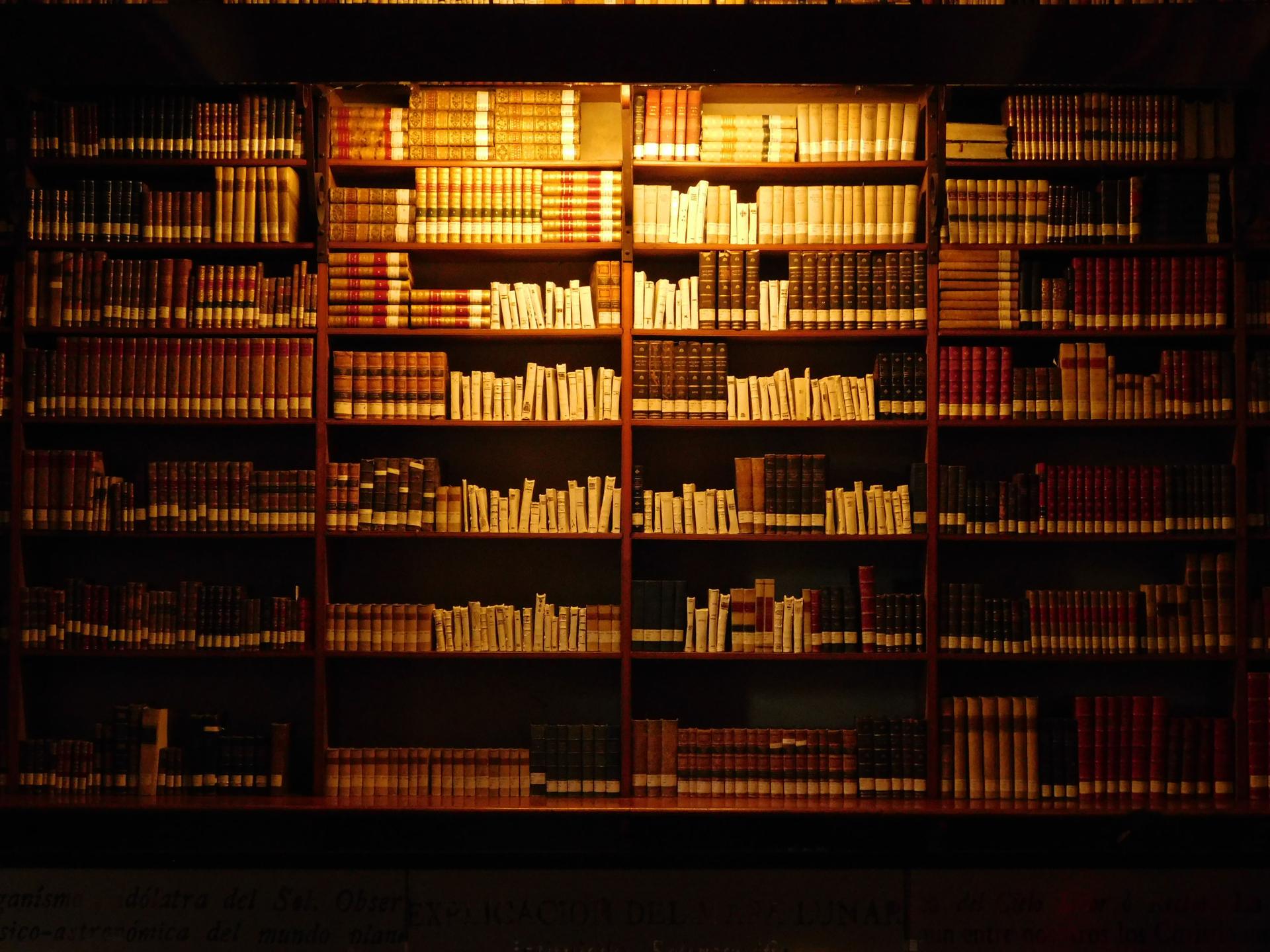 Biblioteca Patrimonial Recoleta Dominica