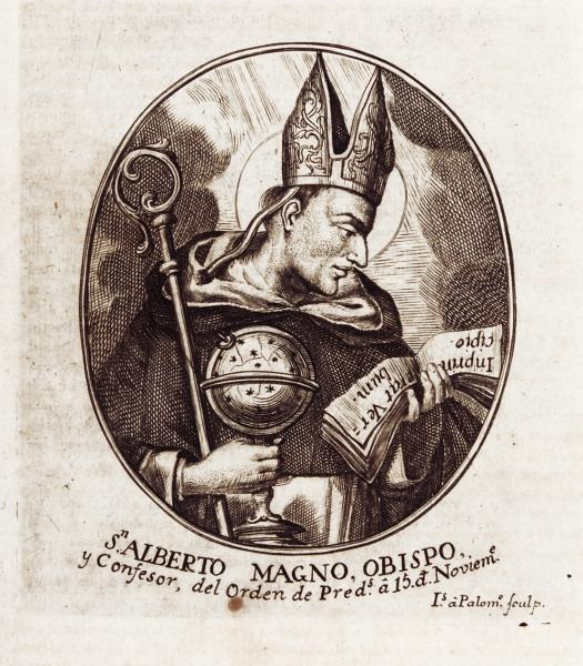 San Alberto Magno